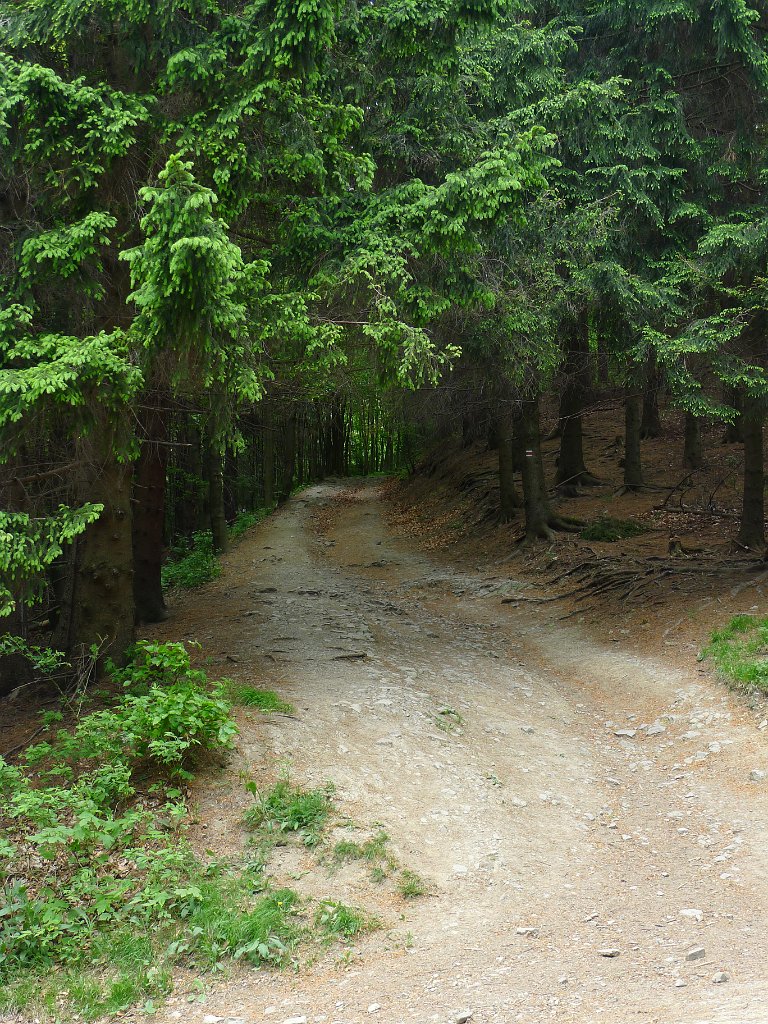 PavlaCzechVisit 117